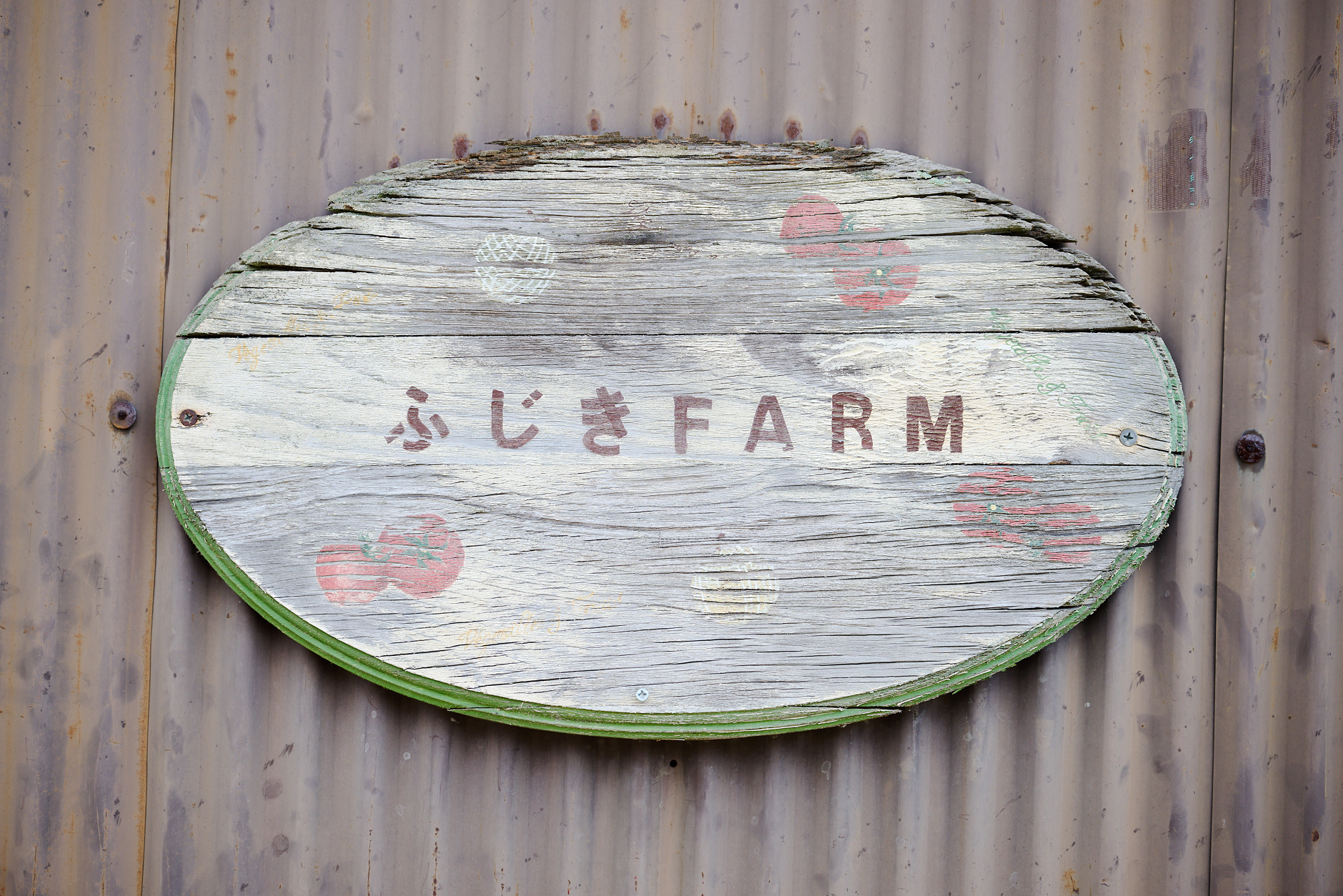 藤木農園の風景