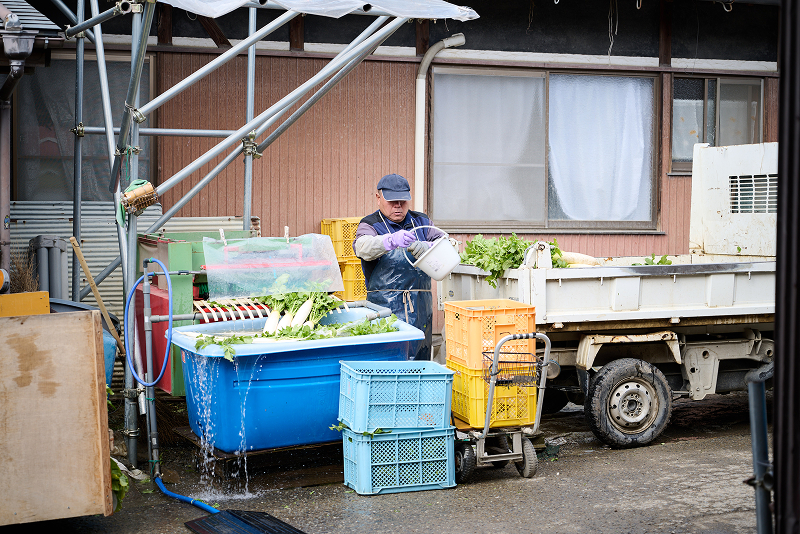 藤木農園の方々