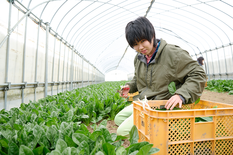 笠間農園の方々