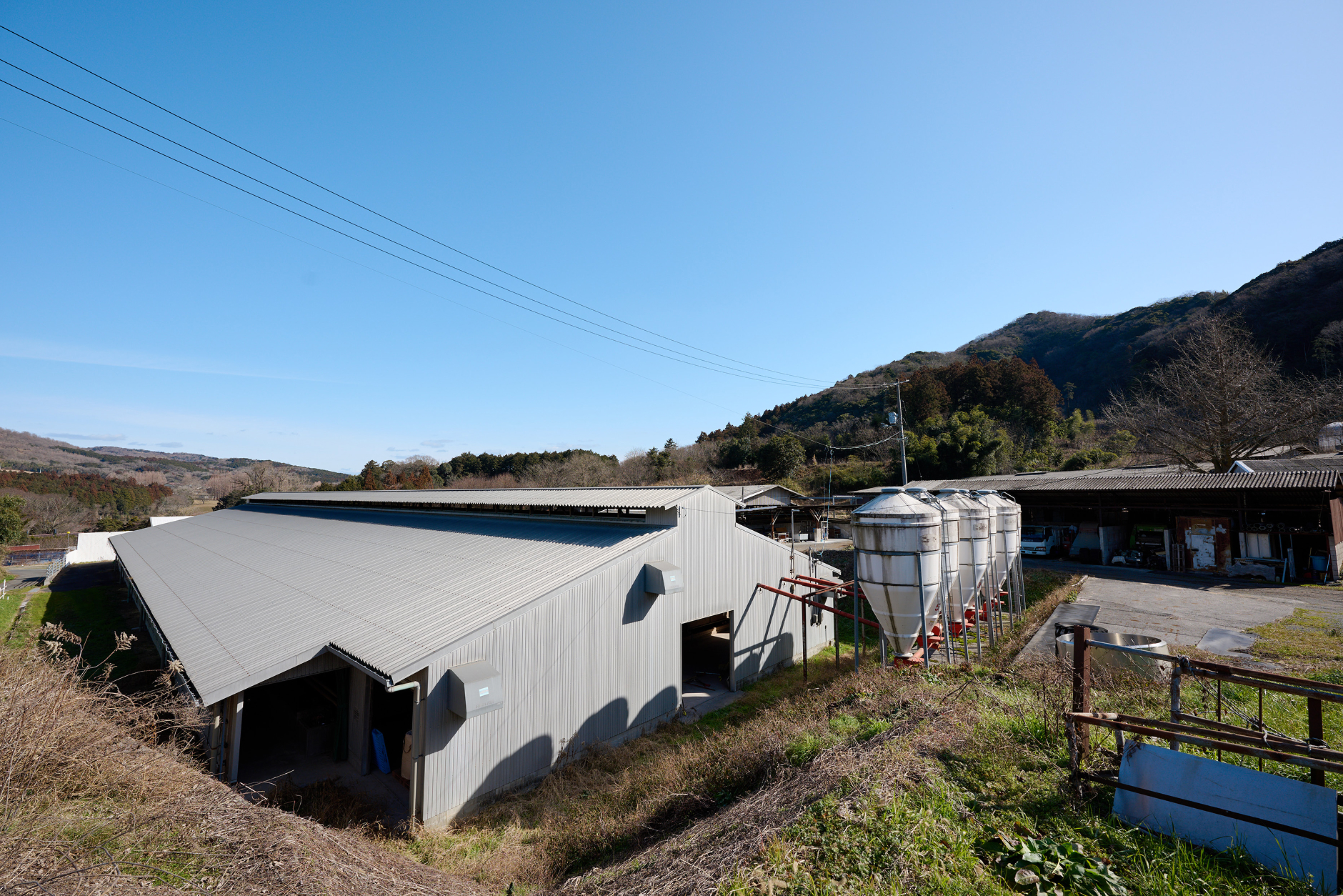 梶岡牧場の風景