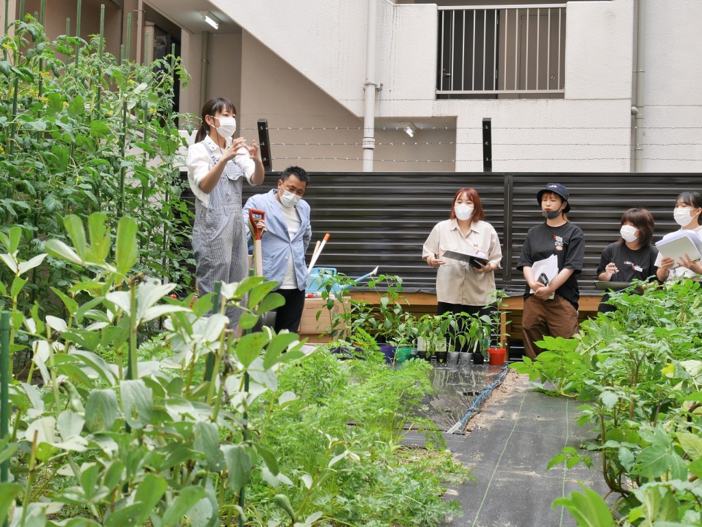 食と農をつなぐ未来のシェフを育てる マイファーム 大阪キャリナリー産学連携を開始 マイファーム