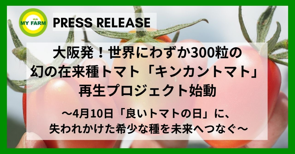 大阪発！世界にわずか300粒の幻の在来種トマト 「キンカントマト」再生